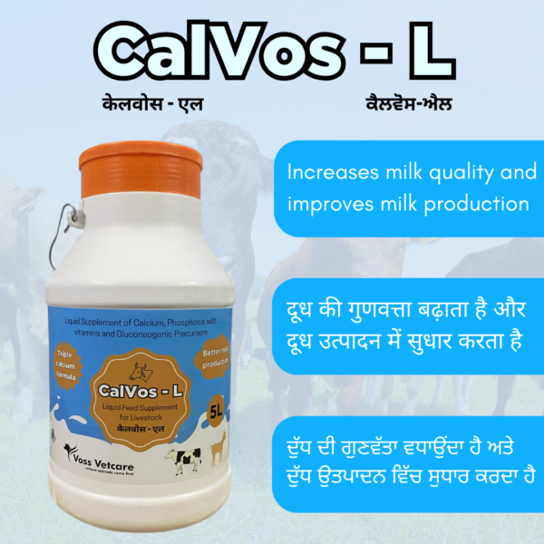 Calvos-L Chelated Liquid Calcium for Cow, Cattle & Buffalo - Image 2