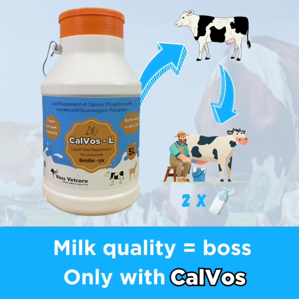 Calvos-L Chelated Liquid Calcium for Cow, Cattle & Buffalo - Image 3