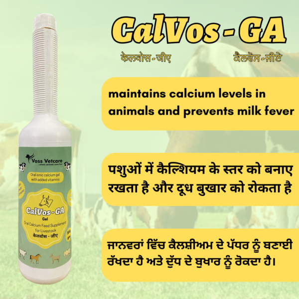 Calvos-GA Oral calcium gel with added vitamins for Cow and Buffalo - Image 2