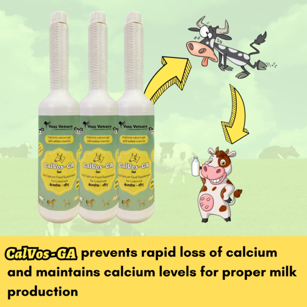 Calvos-GA Oral calcium gel with added vitamins for Cow and Buffalo - Image 4