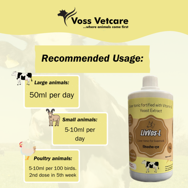 Livvos-L Liver tonic/syrup for Cow, Cattle, Buffalo & All Farm Animals - Image 3