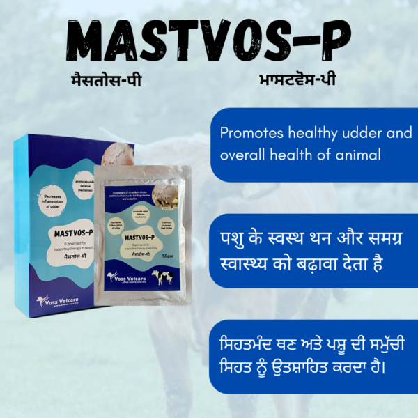 Mastvos-P Nutritional supplement for udder to prevent mastitis for Cow and Buffalo - Image 4