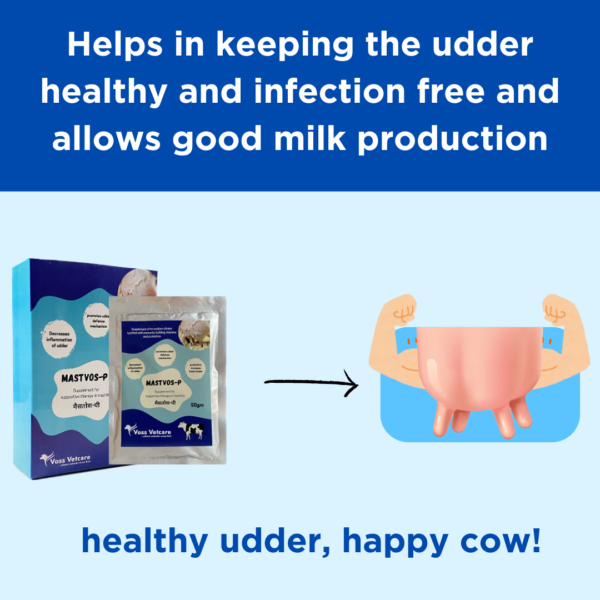 Mastvos-P Nutritional supplement for udder to prevent mastitis for Cow and Buffalo - Image 3