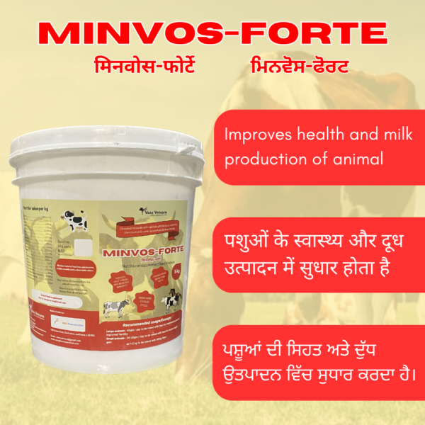 Minvos-Forte Chelated Mineral Mixture for Cow, Cattle, Buffalo & All Farm Animals - Image 2