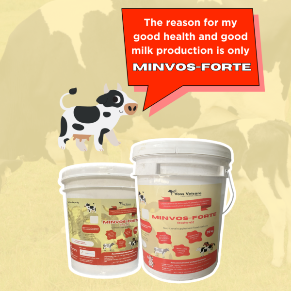 Minvos-Forte Chelated Mineral Mixture for Cow, Cattle, Buffalo & All Farm Animals - Image 3