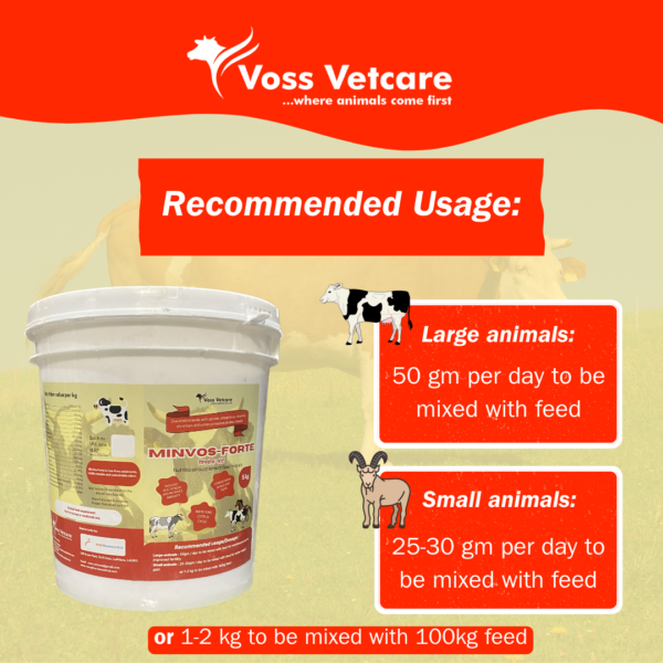 Minvos-Forte Chelated Mineral Mixture for Cow, Cattle, Buffalo & All Farm Animals - Image 4