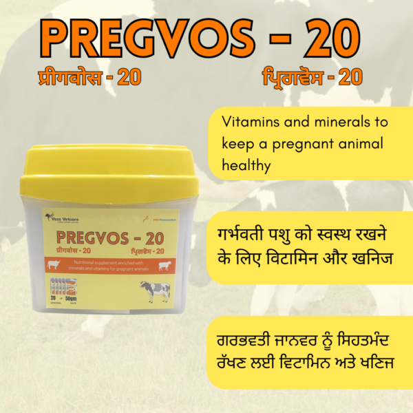 Pregvos-20 Nutritional supplement for Pregnant Animals for Cow and Buffalo - Image 2