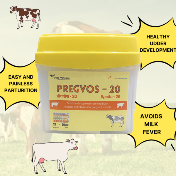 Pregvos-20 Nutritional supplement for Pregnant Animals for Cow and Buffalo - Image 3