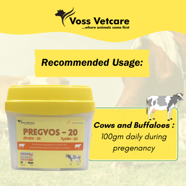 Pregvos-20 Nutritional supplement for Pregnant Animals for Cow and Buffalo - Image 4