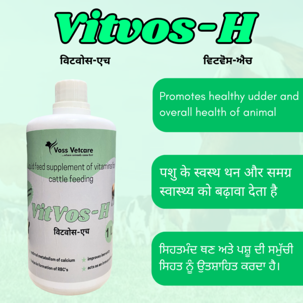 Vitvos-H Vitamin H and multivitamin syrup for udder for Cow, Cattle, Buffalo & All Farm Animals - Image 2