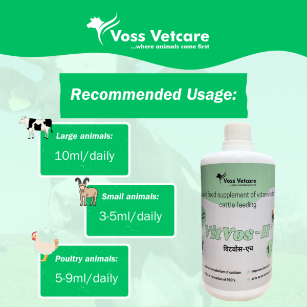 Vitvos-H Vitamin H and multivitamin syrup for udder for Cow, Cattle, Buffalo & All Farm Animals - Image 4